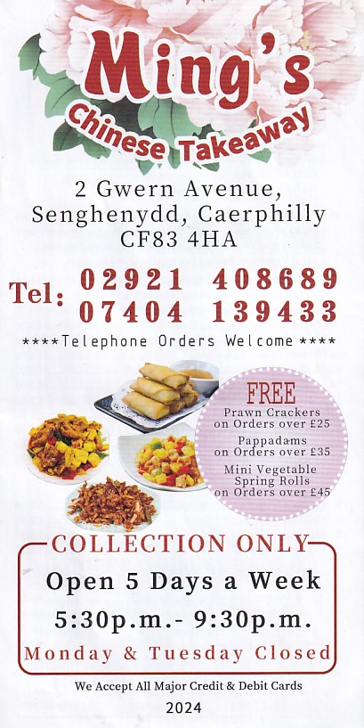 Menu of Mings Chinese Takeaway in Senghenydd